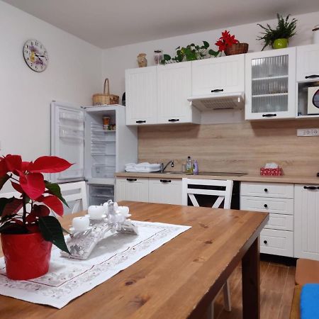 Apartman Pod Bozim Darem Яхимів Екстер'єр фото