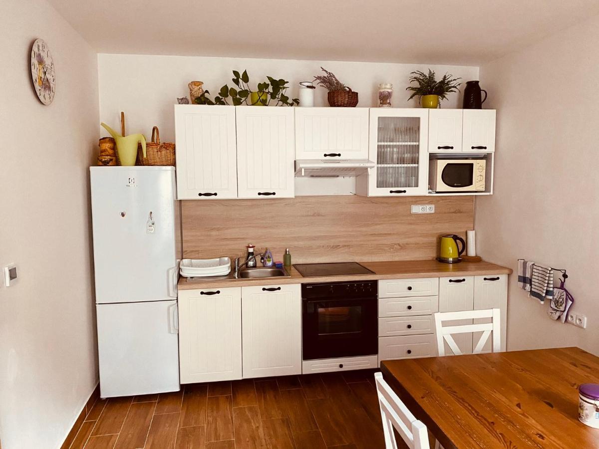 Apartman Pod Bozim Darem Яхимів Екстер'єр фото